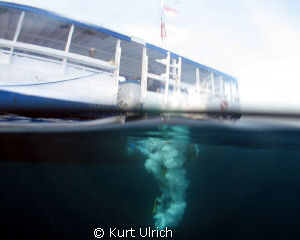 The start of another great dive in Wakatobi! by Kurt Ulrich 